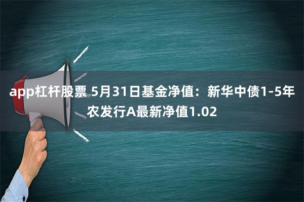 app杠杆股票 5月31日基金净值：新华中债1-5年农发行A最新净值1.02