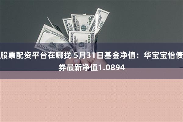 股票配资平台在哪找 5月31日基金净值：华宝宝怡债券最新净值1.0894