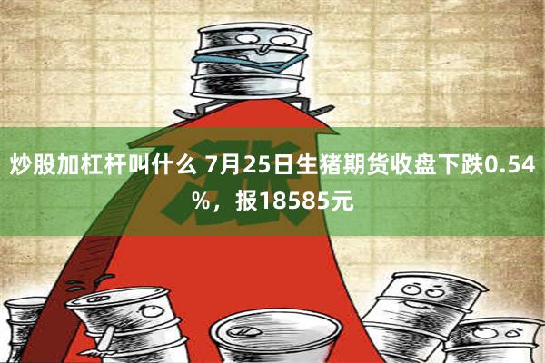 炒股加杠杆叫什么 7月25日生猪期货收盘下跌0.54%，报18585元