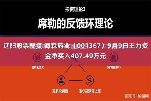 辽阳股票配资 海森药业（001367）9月9日主力资金净买入407.49万元