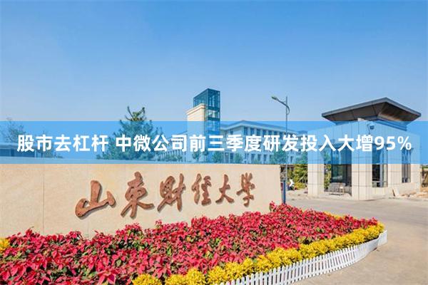 股市去杠杆 中微公司前三季度研发投入大增95%