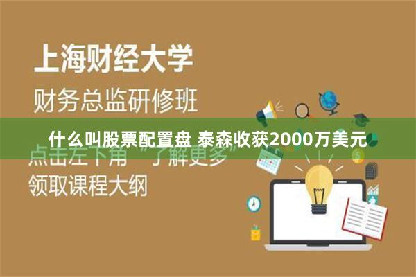 什么叫股票配置盘 泰森收获2000万美元