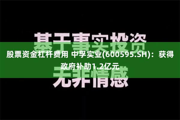 股票资金杠杆费用 中孚实业(600595.SH)：获得政府补助1.2亿元