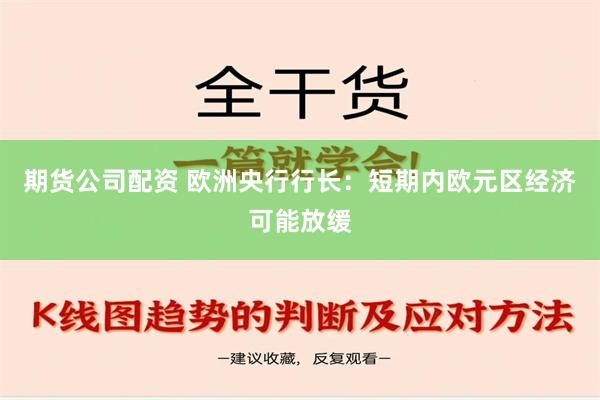 期货公司配资 欧洲央行行长：短期内欧元区经济可能放缓