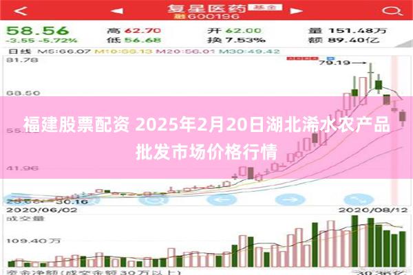 福建股票配资 2025年2月20日湖北浠水农产品批发市场价格行情