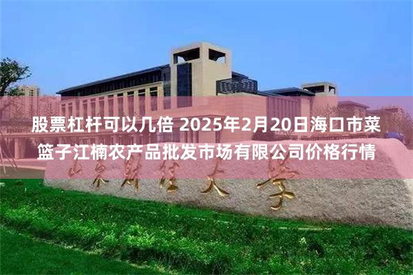 股票杠杆可以几倍 2025年2月20日海口市菜篮子江楠农产品批发市场有限公司价格行情