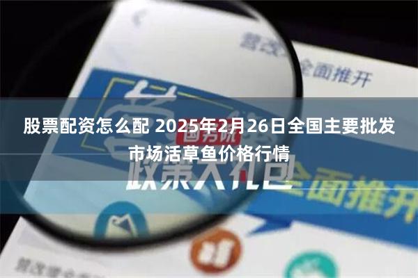 股票配资怎么配 2025年2月26日全国主要批发市场活草鱼价格行情